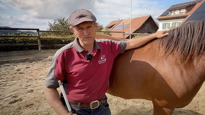 Automatisering & backup