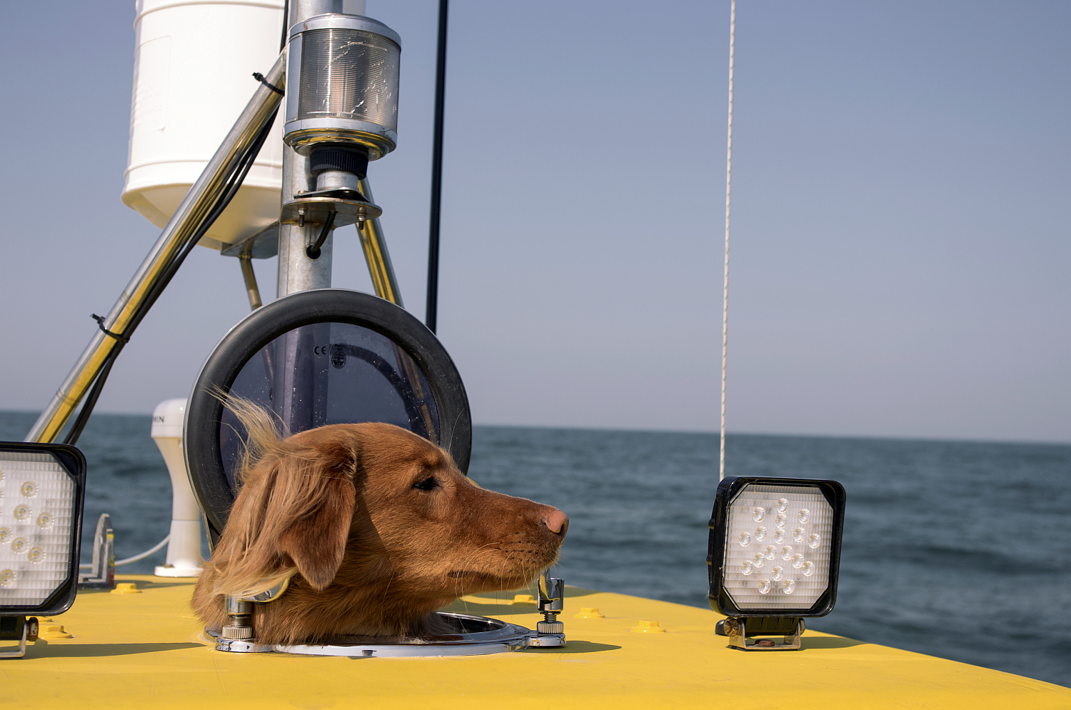 Shackleton & Crew 8 countries3500km5 months Victron Energy