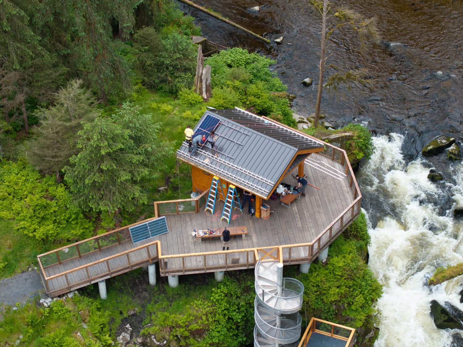 Wild Alaskan bears go fishing - watch them LIVE - Victron Energy